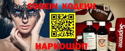 мдпв Камышлов