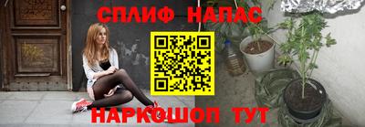 мдпв Камышлов