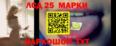 мдпв Камышлов