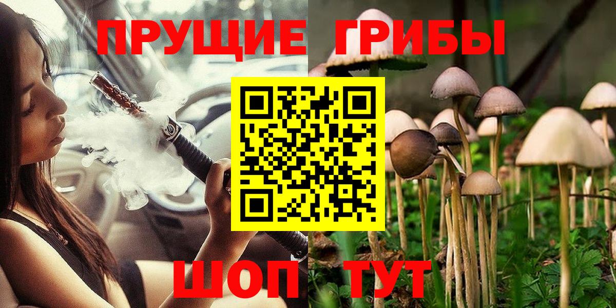 Псилоцибиновые грибы Psilocybe Бутурлиновка