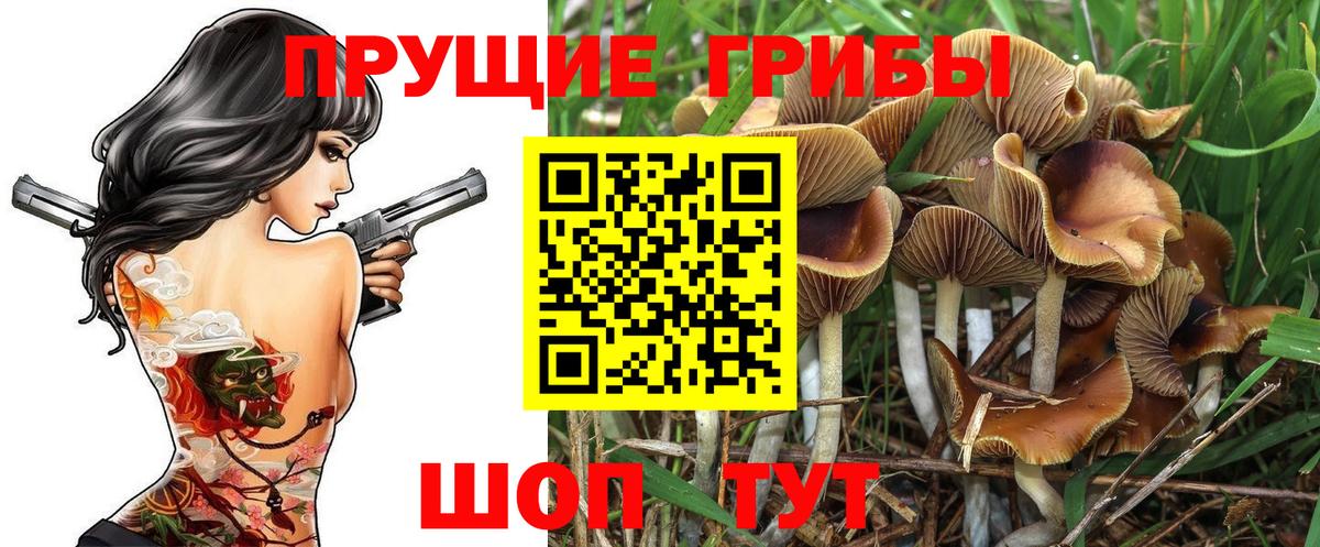 Псилоцибиновые грибы Psilocybine cubensis  Вход с VPN  Бутурлиновка 